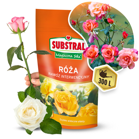 Nawóz Do Róż Interwencyjny Mineralny Koncentrat Krystaliczny 300g Magiczna Siła Substral Nawóz Do Róż Interwencyjny Mineralny Koncentrat Krystaliczny 300g Magiczna Siła Substral