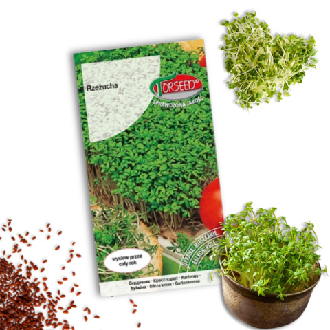 Rzeżucha Nasiona 10g Torseed Rzeżucha Nasiona 10g Torseed