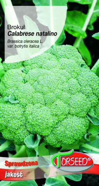 Brokuł Calabrese Natalino 2g Torseed