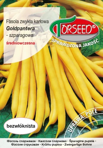 Fasola Szparagowa Karłowa Goldpantera 30g Torseed Fasola Szparagowa Karłowa Goldpantera 30g Torseed