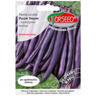 Fasola Szparagowa Karłowa Purple Teepee 30g Torseed