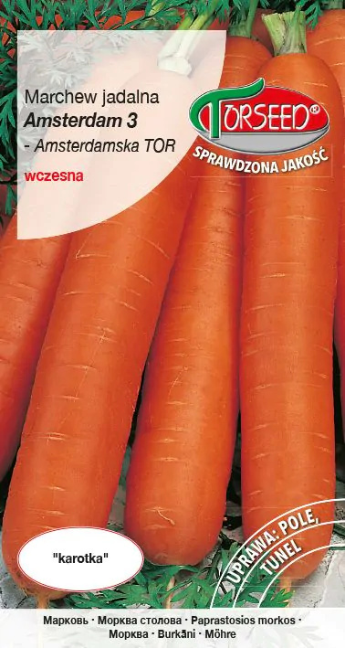 Marchew Amsterdam 3 Amsterdamska 5g Torseed