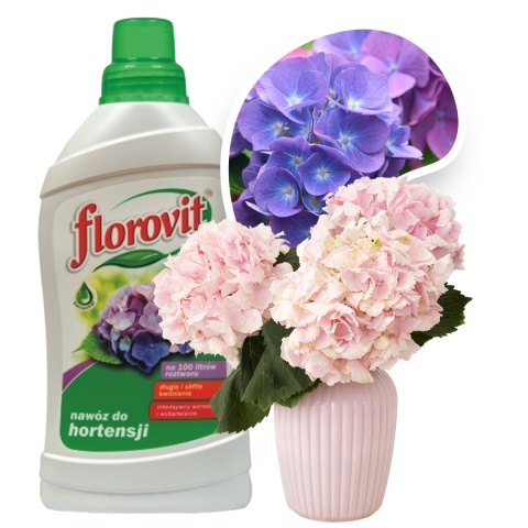 Nawóz Do Hortensji Mineralny Płynny 1L Florovit Nawóz Do Hortensji Mineralny Płynny 1L Florovit