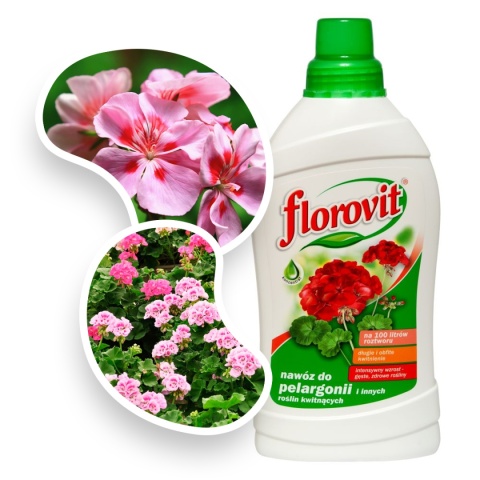 Nawóz Do Pelargonii Mineralny Płynny 1L Florovit Nawóz Do Pelargonii Mineralny Płynny 1L Florovit