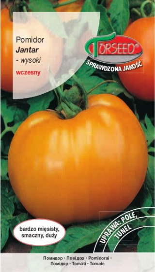 Pomidor Jantar 0,2g Torseed