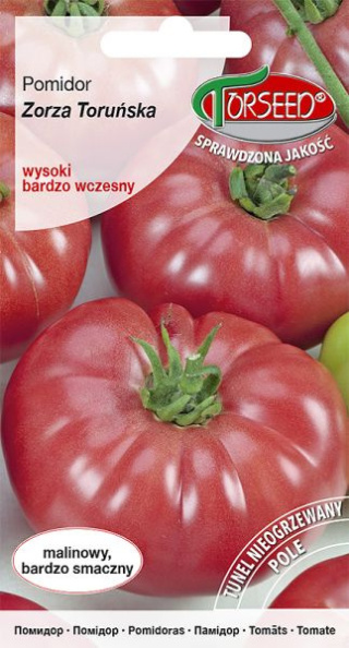 Pomidor Zorza Toruńska 0,5g wysoki Torseed