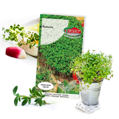 Rzeżucha Nasiona 10g Torseed Rzeżucha Nasiona 10g Torseed