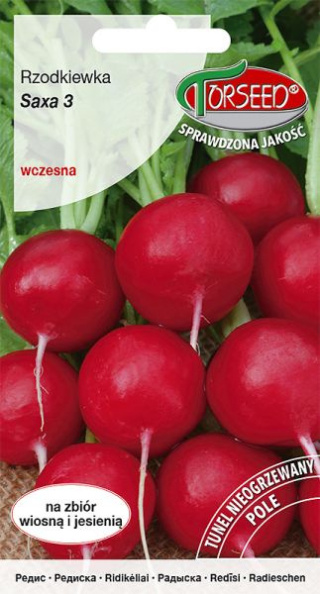 Rzodkiewka Saxa 3 10g Torseed
