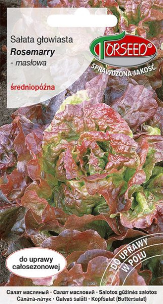 Sałata Rosemarry Głowiasta Masłowa 0,5g Torseed