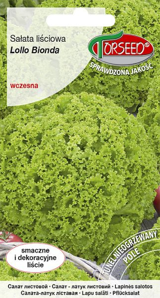 Sałata liściowa Lollo Bionda 0,5g Torseed