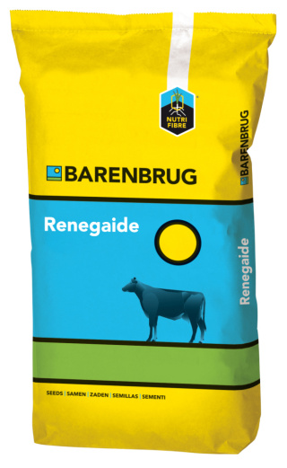Trawa Barenbrug Renegaide 15kg
