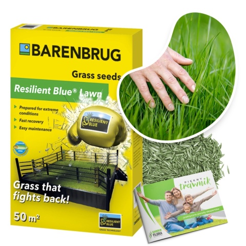 Trawa Na Ekstremalne Warunki Barenbrug Resilient Blue Lawn Otoczkowana 1kg Trawa Na Ekstremalne Warunki Barenbrug Resilient Blue Lawn Otoczkowana 1kg