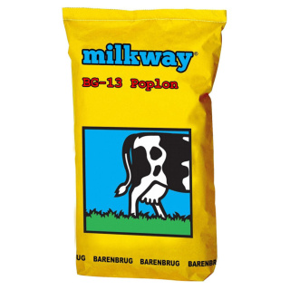 Trawa Pastewna Barenbrug BG-13 Milkway Poplon 15kg