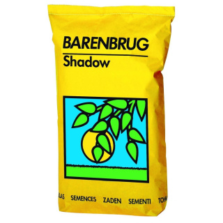 Trawa na Tereny Rekreacyjne Mocno Zacienione Barenbrug Shadow Pro Barcampsia 15kg