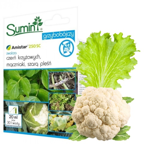Amistar 250 SC 20ml Fungicyd Środek Grzybobójczy Do Zwalczania Chorób Grzybowych w Uprawach Roślin Sumin