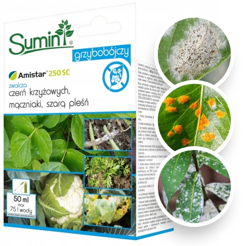 Amistar 250 SC 50ml Fungicyd Środek Grzybobójczy Do Zwalczania Chorób Grzybowych w Uprawach Roślin Sumin