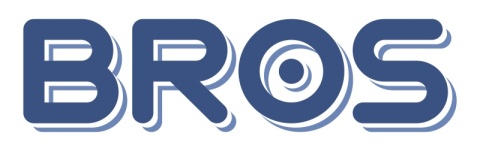 Gaśnica Na Osy i Szerszenie Areozol 600ml Środek Owadobójczy Na Osy i Szerszenie Bros