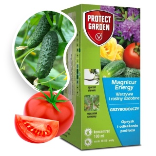 Magnicur Energy 100ml Środek Grzybobójczy Do Zwalczania Chorób Grzybowych w Uprawach Roślin Protect Garden