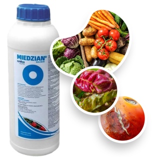 Miedzian Extra 350 BC 1000ml Fungicyd Środek Grzybobójczy Do Zwalczania Chorób Grzybowych w Uprawach Roślin Synthos Agro