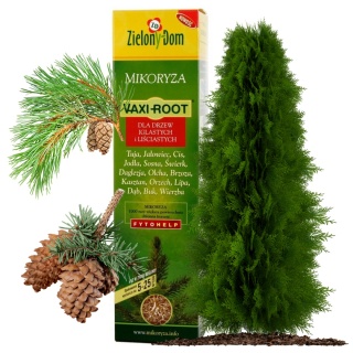 Mikoryza Szczepionka Do Roślin Iglastych i Liściastych 30g Zielony Dom