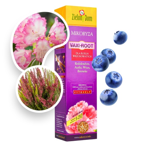 Mikoryza Szczepionka Wrzosy 30g z FYTOHELP Zielony Dom