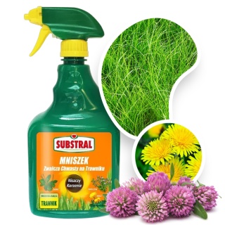 Mniszek Ultra Hobby AL 750ml Spray Środek Chwastobójczy Na Chwasty Dwuliścienne w Trawniku Substral