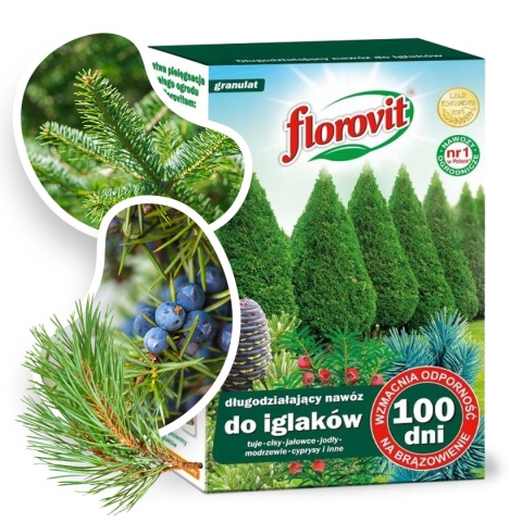 Nawóz Do Iglaków Długodziałający 100 Dni Mineralny Granulat 1kg Karton Florovit Nawóz Do Iglaków Długodziałający 100 Dni Mineralny Granulat 1kg Karton Florovit