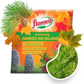 Nawóz Do Iglaków Jesienny Mineralny Granulat 10kg Florovit