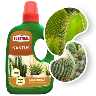 Nawóz Do Kaktusów z Humusem Mineralno Organiczny Płynny 250ml Substral