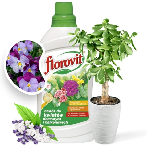 Nawóz Do Kwiatów Domowych i Balkonowych Mineralny Płynny 1L Florovit Nawóz Do Kwiatów Domowych i Balkonowych Mineralny Płynny 1L Florovit