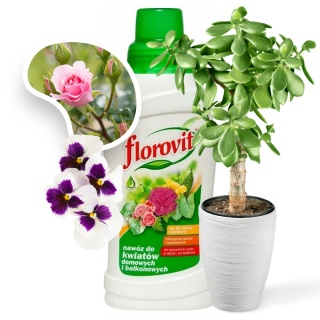 Nawóz Do Kwiatów Domowych i Balkonowych Mineralny Płynny 500ml Florovit