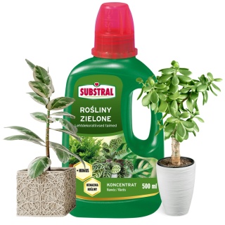 Nawóz Do Paproci i Roślin Zielonych z Humusem Mineralno Organiczny Płynny 500ml Substral