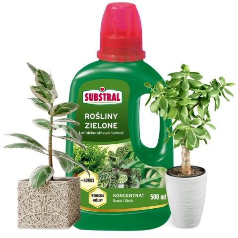 Nawóz Do Paproci i Roślin Zielonych z Humusem Mineralno Organiczny Płynny 500ml Substral