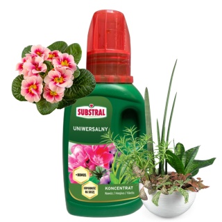 Nawóz Do Roślin Domowych i Balkonowych Mineralny Płynny 250ml Dom i Balkon Substral