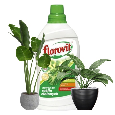 Nawóz Do Roślin Zielonych Mineralny Płynny 1L Florovit Nawóz Do Roślin Zielonych Mineralny Płynny 1L Florovit