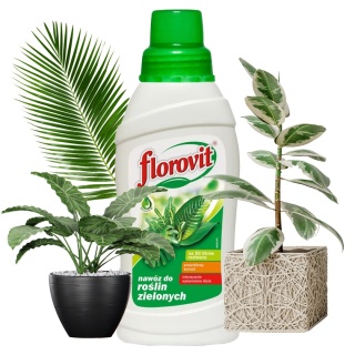 Nawóz Do Roślin Zielonych Mineralny Płynny 500ml Florovit