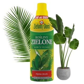 Nawóz Do Roślin Zielonych Mineralny Płynny 750ml Zielony Dom