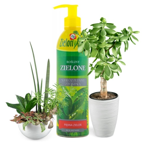 Nawóz Do Roślin Zielonych z Pompką Mineralny Płynny 300ml Zielony Dom