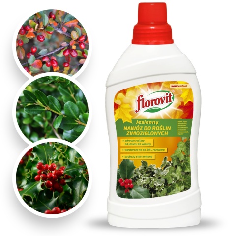 Nawóz Do Roślin Zimozielonych Jesienny Mineralny Płynny 1l Płynny Florovit Nawóz Do Roślin Zimozielonych Jesienny Mineralny Płynny 1l Płynny Florovit