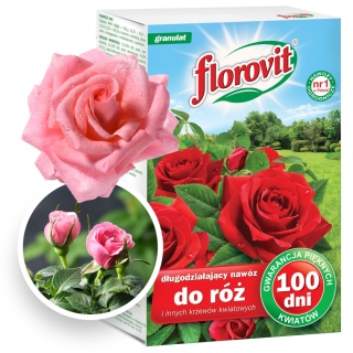 Nawóz Do Róż i Innych Krzewów Długodziałający 100dni Mineralny Granulat 1kg Florovit