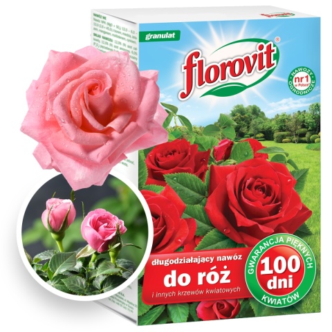 Nawóz Do Róż i Innych Krzewów Długodziałający 100dni Mineralny Granulat 1kg Florovit