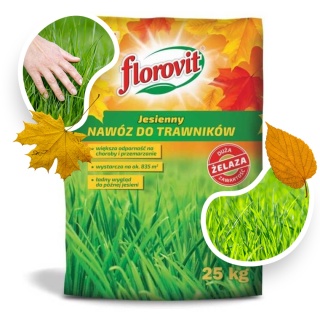 Nawóz Do Trawy Jesienny Mineralny Granulat 25kg Florovit