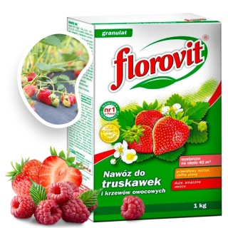 Nawóz Do Truskawek i Krzewów Owocowych Mineralny Granulat 1kg Karton Florovit