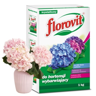 Preparat Do Hortensji Wybarwiający 1 kg Florovit