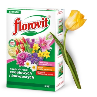Nawóz Do Roślin Cebulowych i Bulwiastych Karton 1 kg Florovit