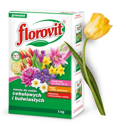 Nawóz Do Roślin Cebulowych i Bulwiastych Karton 1 kg Florovit