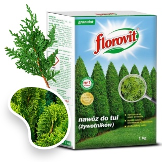 Nawóz Inco Florovit tuja 1kg karton
