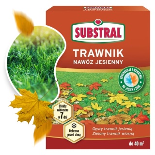 Nawóz Do Trawnika 60 Dni Jesienny 1 kg Substral