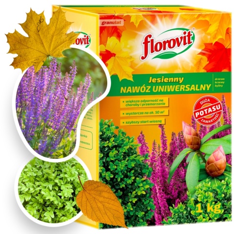 Nawóz Uniwersalny Jesienny Mineralny Granulat 1kg Karton Florovit Nawóz Uniwersalny Jesienny Mineralny Granulat 1kg Karton Florovit
