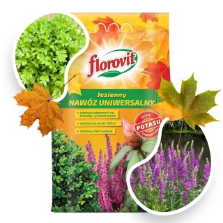 Nawóz Uniwersalny Jesienny Mineralny Granulat 3kg Florovit